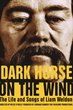 Постер: Dark Horse on the Wind