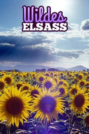 Постер: Wildes Elsass