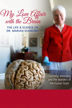 Постер: My Love Affair with the Brain