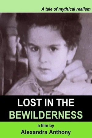 Постер: Lost in the Bewilderness