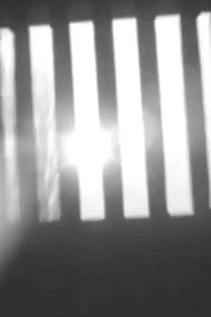 Постер: The Window Open Toward