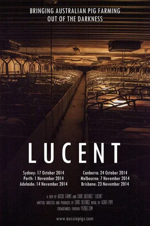 Постер: Lucent