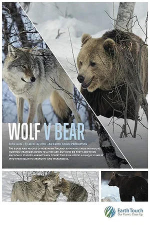 Постер: Wolf vs Bear
