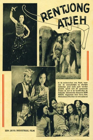 Постер: Aceh's Knife