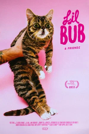 Постер: Lil Bub & Friendz