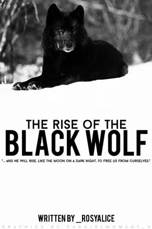 Постер: The Rise of Black Wolf