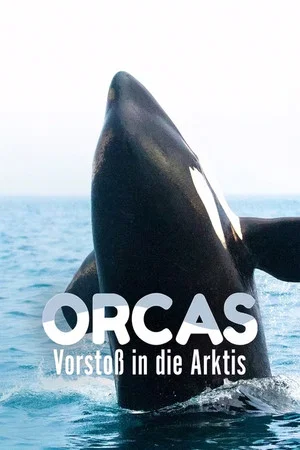 Постер: Orcas - Vorstoss in die Arktis
