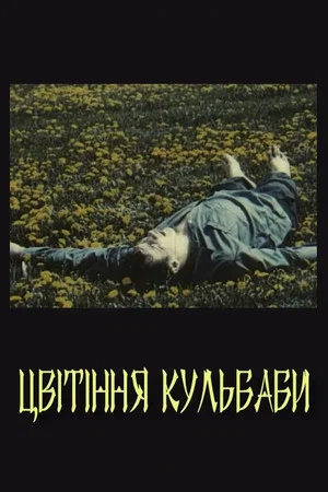 Постер: Цветение одуванчика
