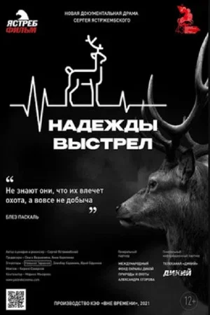 Постер: Надежды выстрел