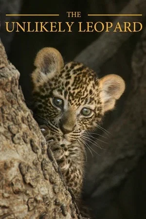 Постер: The Unlikely Leopard