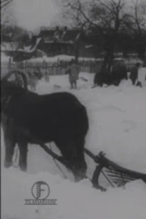 Постер: The Great Blizzard in the Baltics in December