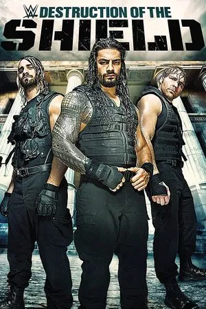 Постер: The Destruction of The Shield