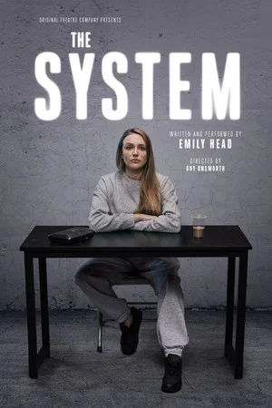 Постер: The System