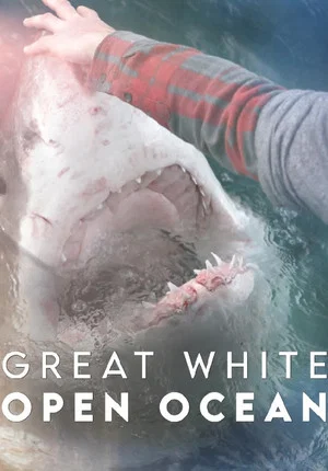 Постер: Great White Open Ocean
