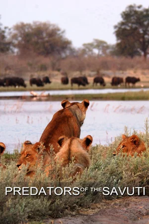 Постер: Predators of the Savuti