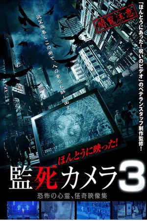 Постер: Paranormal Surveillance Camera 3