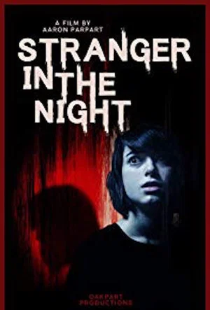 Постер: Stranger in the Night