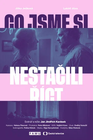 Постер: Co jsme si nestačili říct