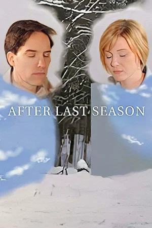 Постер: After Last Season