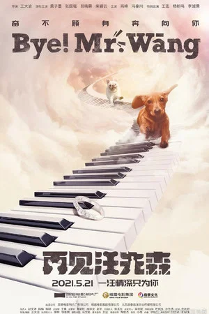 Постер: Bye, Mr Wang!