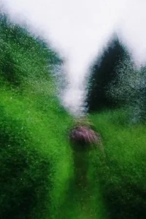 Постер: Brouillard #16