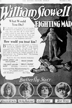 Постер: Fighting Mad