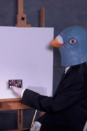 Постер: Birdsaver Report Volume 2
