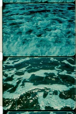 Постер: A Child’s Garden and the Serious Sea