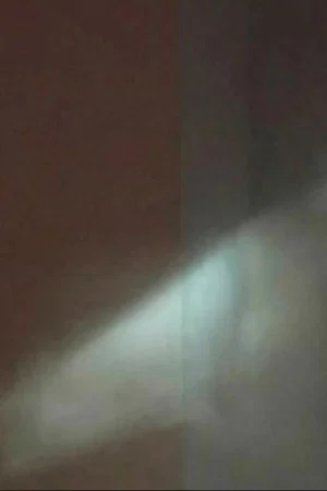 Постер: Shadow