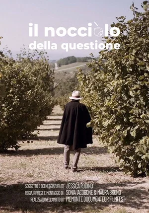 Постер: Il nocciolo della questione