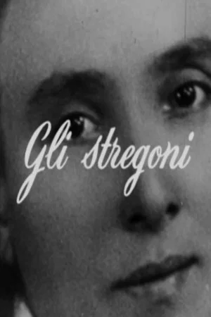 Постер: Gli stregoni