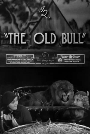 Постер: The Old Bull