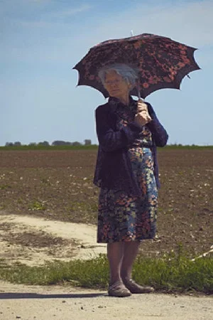 Постер: Granny Wants to Go Home