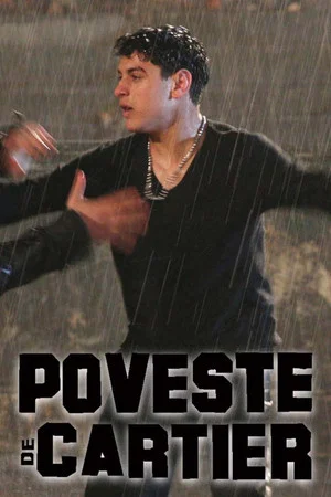 Постер: District Story