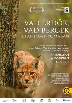 Постер: Wild forests, wild crags - In search of the phantom