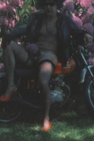 Постер: Super 8 Diary - 1986