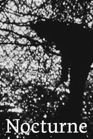 Постер: Nocturne