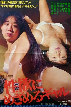 Постер: Gal Who Awakens to Libido