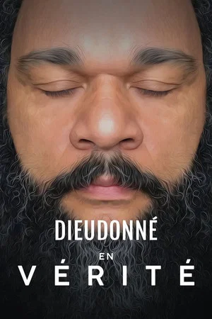 Постер: Dieudonné - En vérité