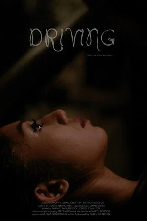 Постер: Driving