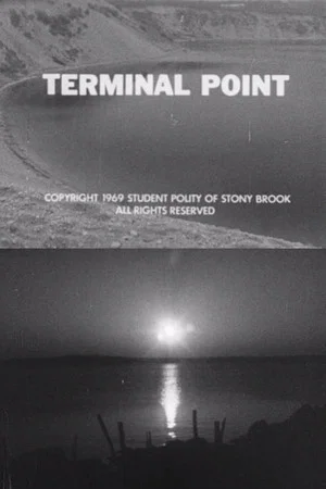 Постер: Terminal Point