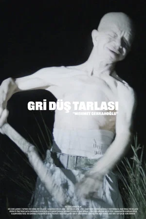 Постер: Gri Düş Tarlası