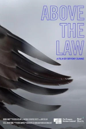 Постер: Above the Law