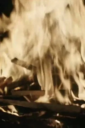 Постер: TV as a Fireplace