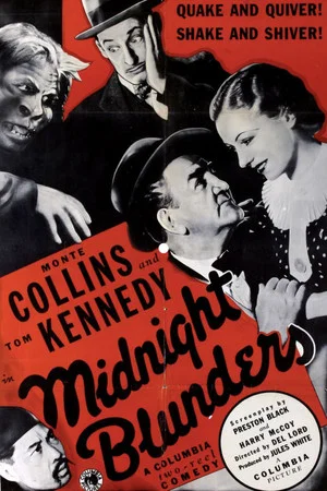 Постер: Midnight Blunders