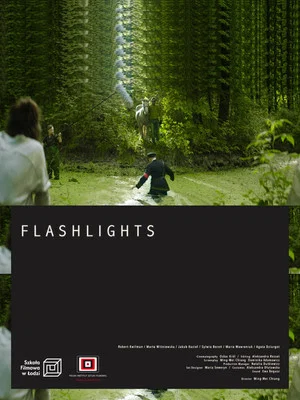 Постер: Flashlights