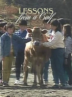 Постер: Lessons from a Calf