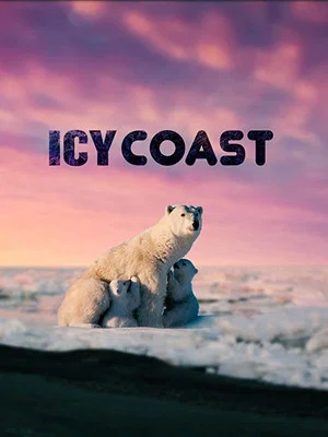 Постер: Icy Coasts