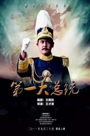 Постер: The First President