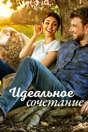 Постер: Идеальное сочетание
